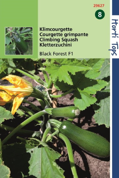 Climbing Courgette Black Forest F1 (Cucurbita) 8 seeds HT
